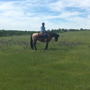 Meet your Posher, Leslie